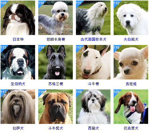 看点 第280页